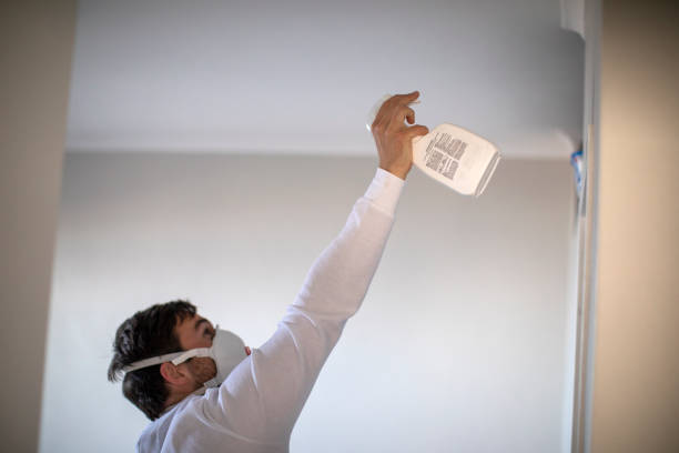 Best Mold Damage Repair  in Ixonia, WI