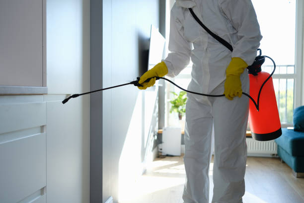 Best Home Mold Removal  in Ixonia, WI